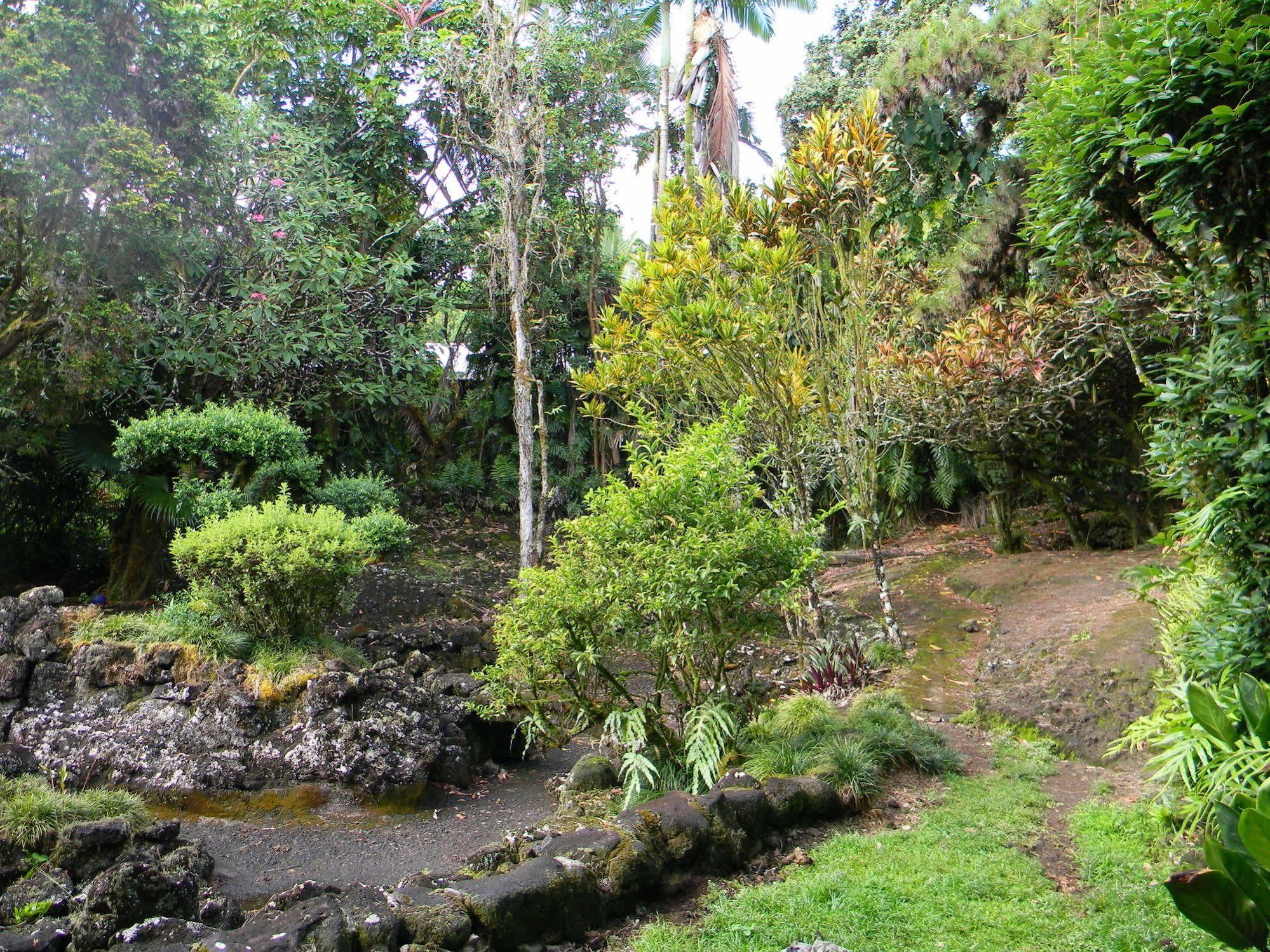 Maureen'S Bed And Breakfast Hilo Dış mekan fotoğraf